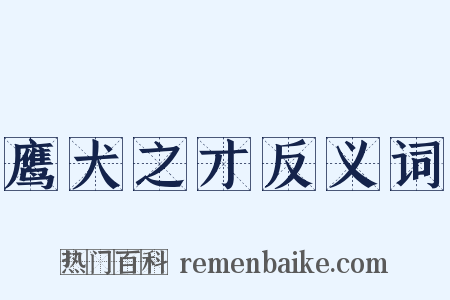 鹰犬之才反义词是什么意思的图片